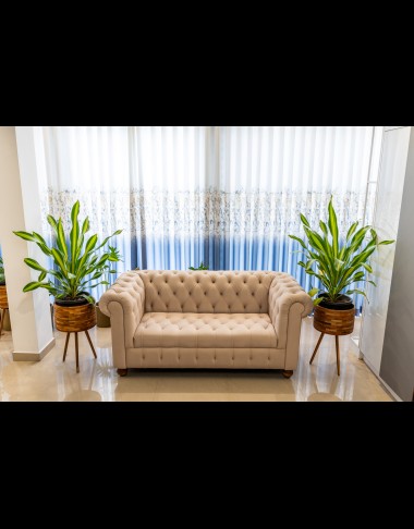aurahomestudio